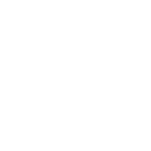 customer-review